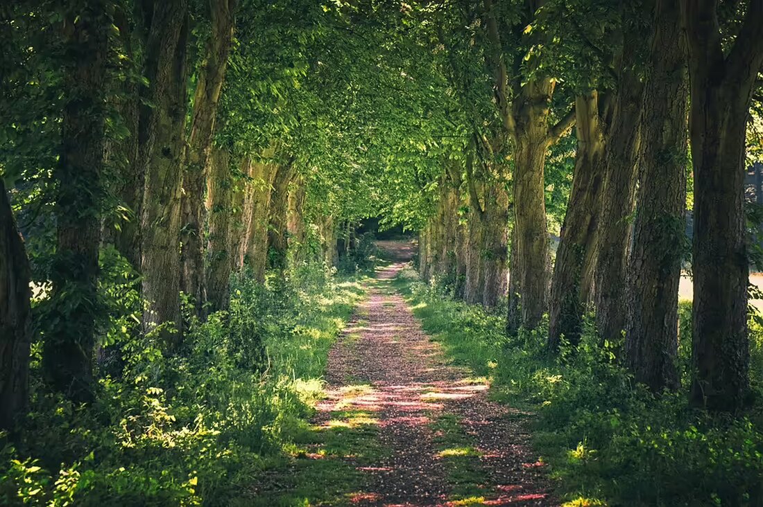 Am Sonntag, 3. November 2024, feiern die Steyrer mit dem 200. Spaziergang am Hauptplatz – ein Jubiläum, das für Aufregung sorgt. Bürgermeister Vogl unternimmt nichts gegen die Bürgerproteste.