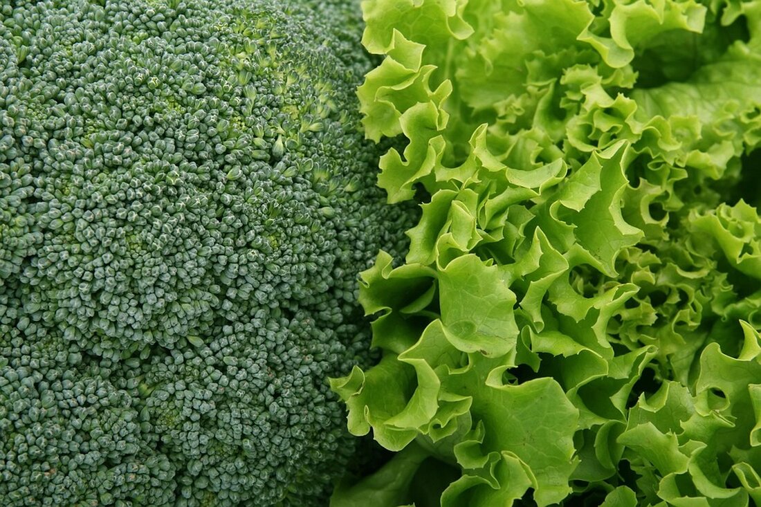 Der Salat hat seine Wurzeln in der antiken römischen Tradition, wo Romanasalat in Salz getaucht wurde – „herbe salata“ bedeutet „gesalzene Blätter“. Jahrhunderte nach diesem Ursprung hat sich die Vorstellung von Salaten weiterentwickelt. Für viele repräsentiert ein Salat eine Schüssel voller Blattsalat mit verschiedenen Beigaben, die man in weit verbreiteten Salatketten wählen kann. Andere denken &hellip;
