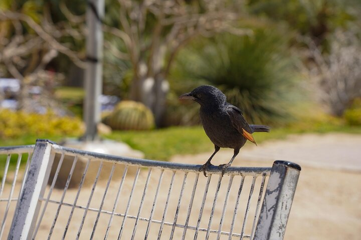 Israels Warnung: UN-Chef droht mit Eintrag in Sexualgewalt-Bericht