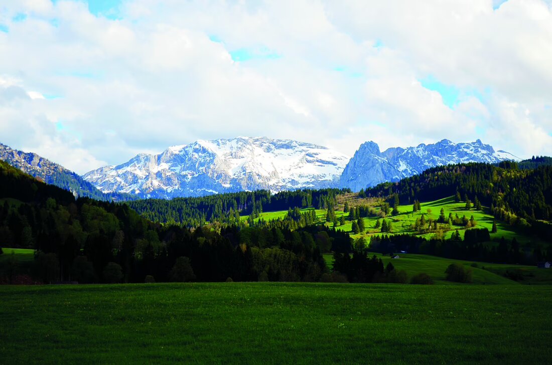 Bezirksfeuerwehrkommandant Ludwig Konrad wurde anlässlich seines 65. Geburtstags geehrt. Lesen Sie mehr über die Festlichkeiten im Bezirk Feldkirchen und die besten Wünsche für die Zukunft.