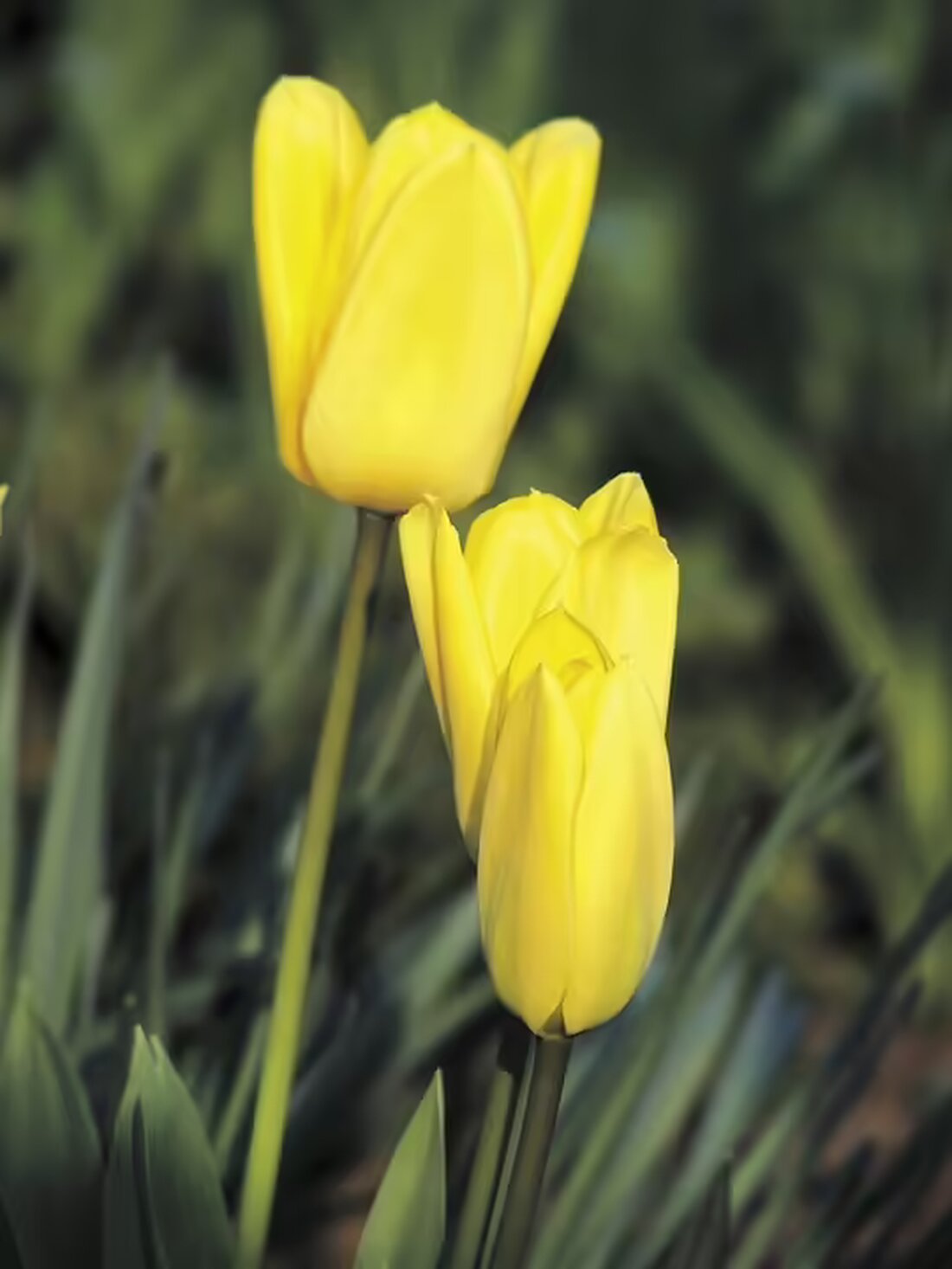 Im Oktober ist die Arbeitslosigkeit im Bezirk im Vergleich zum Vormonat leicht um 25 Personen gesunken. Dennoch sind 2.070 Menschen aktiv auf Jobsuche. Wie steht es um die offenen Stellen?