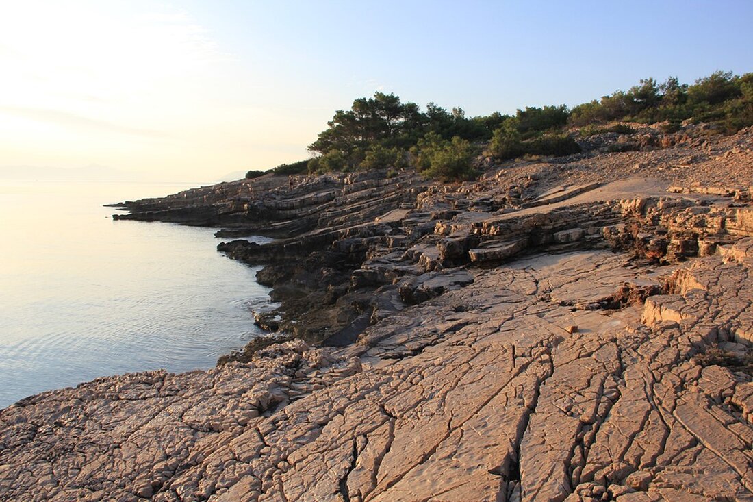 Eine 80-jährige Grazerin wurde am Samstag im Bezirk Wetzelsdorf auf einem Zebrastreifen von einem PKW angefahren und schwer verletzt. Aktuelle Informationen zum Unfallgeschehen hier im Artikel.