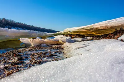Eisschmelze enthüllt Überreste eines vermissten Antarktisforschers