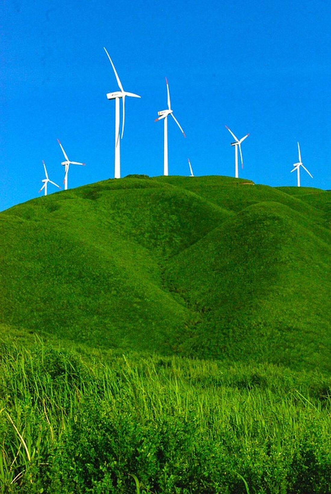 Das Agrarbildungszentrum Lambach wurde beim MeinBezirk.at Umweltpreis OÖ 2024 für sein nachhaltiges Projekt in der Pferdewirtschaft im Bezirk Wels-Land ausgezeichnet.