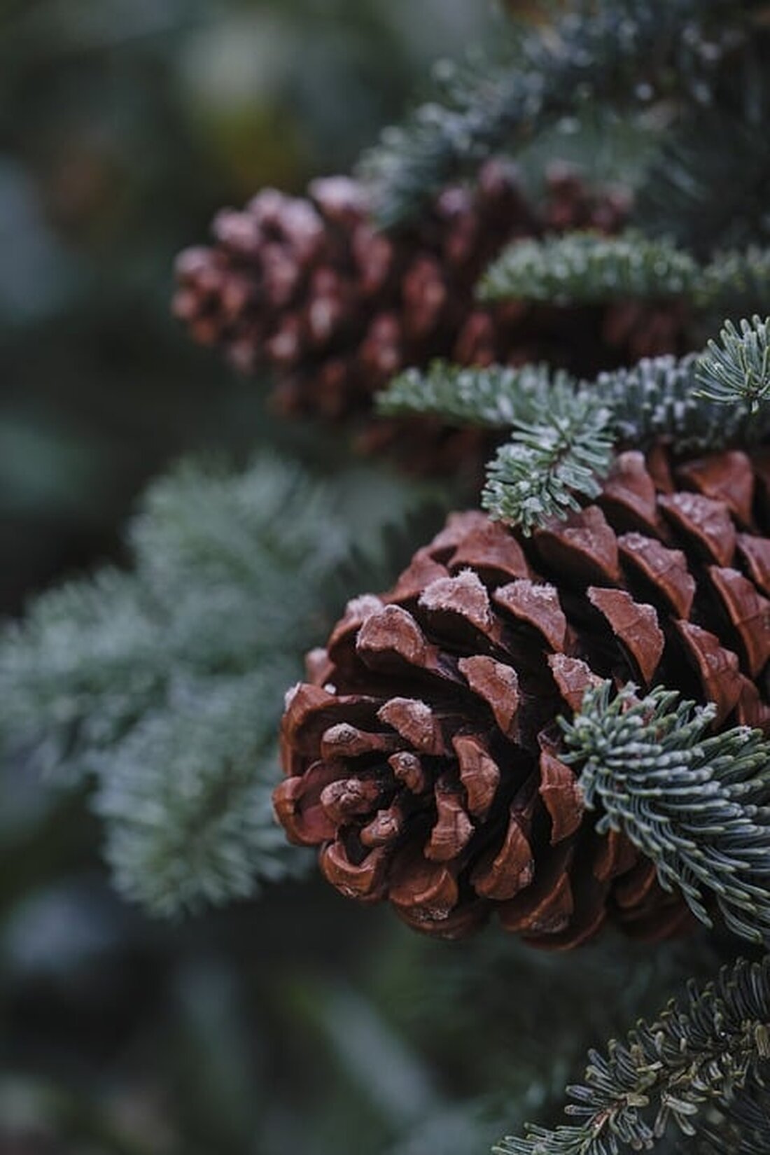 Erleben Sie in der Adventzeit in Österreich die Verbindung von Tradition und Digitalisierung: Von historischen Krippen bis zu digitalen Inszenierungen in Kirchen – ein kulturelles Fest für alle Sinne!