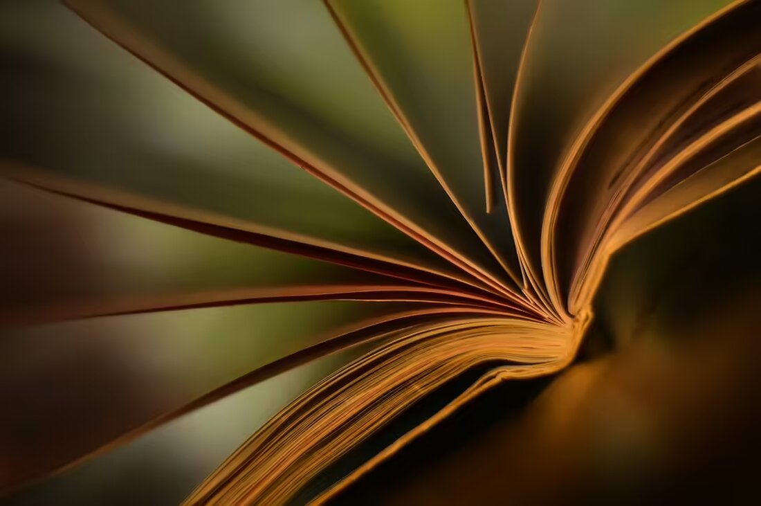 Heute ist Allerseelentag! 🌼 Wir wünschen euch einen besinnlichen Tag. Entdeckt das Foto des Tages von Hildegard Stauder aus Villach und weitere Beiträge der Regionauten-Community.