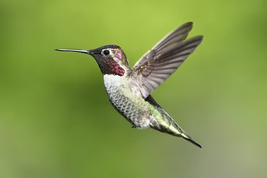 Entdecken Sie mit Anna Maria Stadler im Roman "halbnah" die faszinierenden Parallelen zwischen einer Stadt und Salzburg. Ein literarischer Streifzug zwischen Stille und Spektakel.
