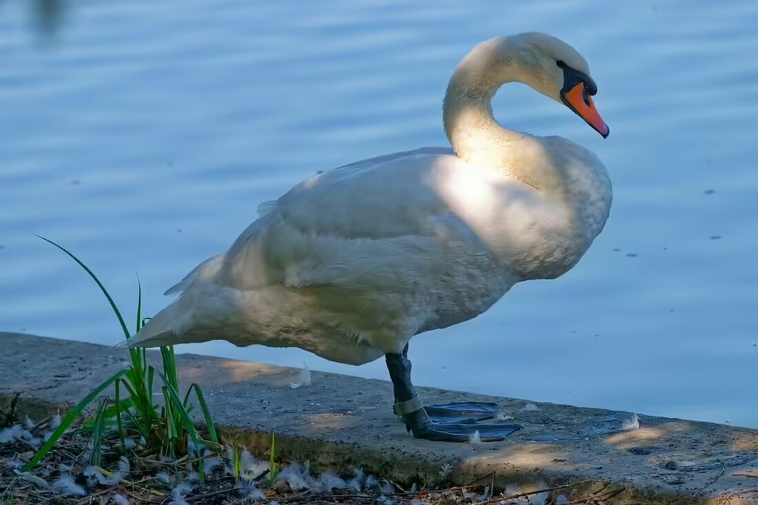 Am 27. November bietet die WKO Steyr eine umfassende Arbeitsrechtsberatung an. Experten stehen bereit, um Fragen rund um das Arbeitsrecht zu beantworten. Informieren Sie sich jetzt!