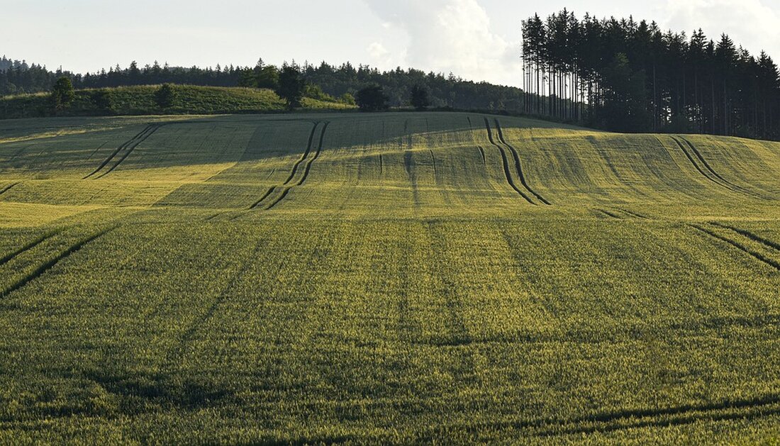 Im neuen Kuchler Science Talk beleuchtet Wolfgang Wintersteller die Geschichte Halleins unter dem Hakenkreuz und die Bedeutung der Aufarbeitung. Ein berührender Vortrag mit Zeitzeugen.
