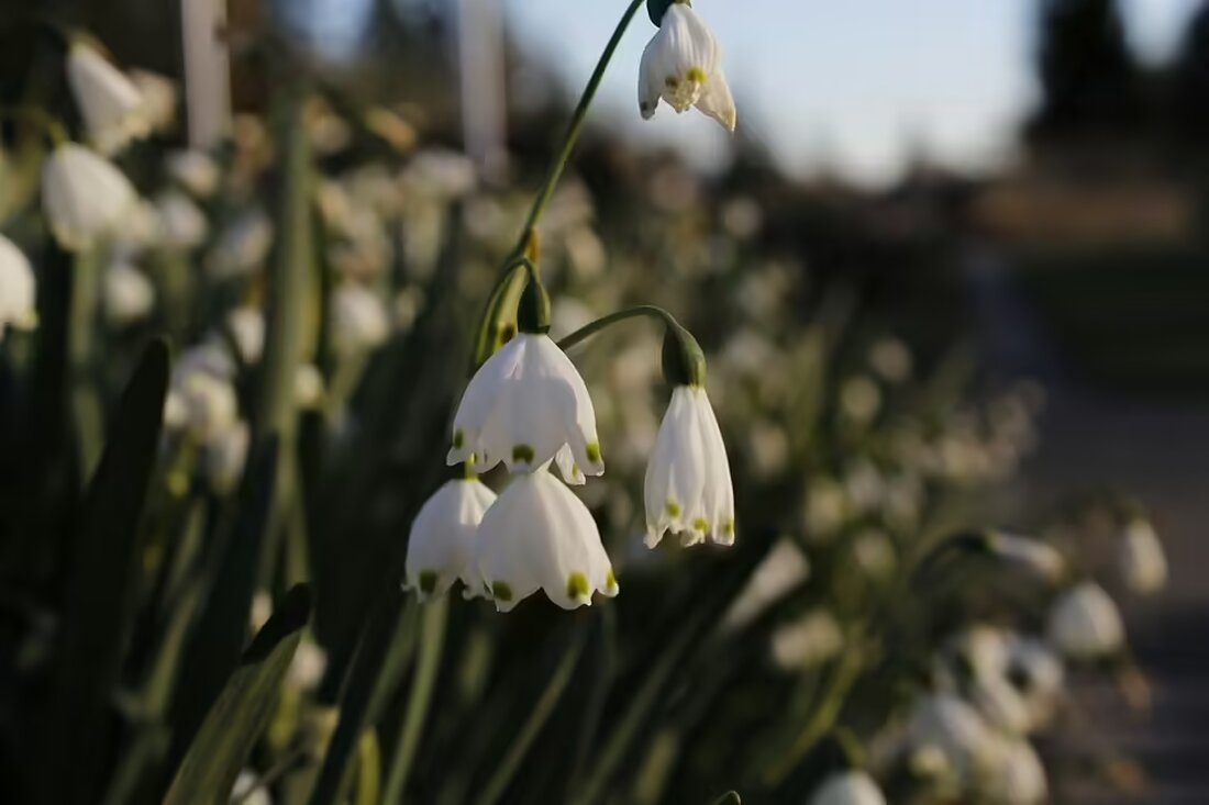 Im Bezirk Rohrbach wurde die Pfarrcaritaskrabbelstube Berg als „Gesunde Krabbelstube“ ausgezeichnet. Erfahren Sie mehr über die Förderung gesunder Lebensstile für Kinder in Oberösterreich.