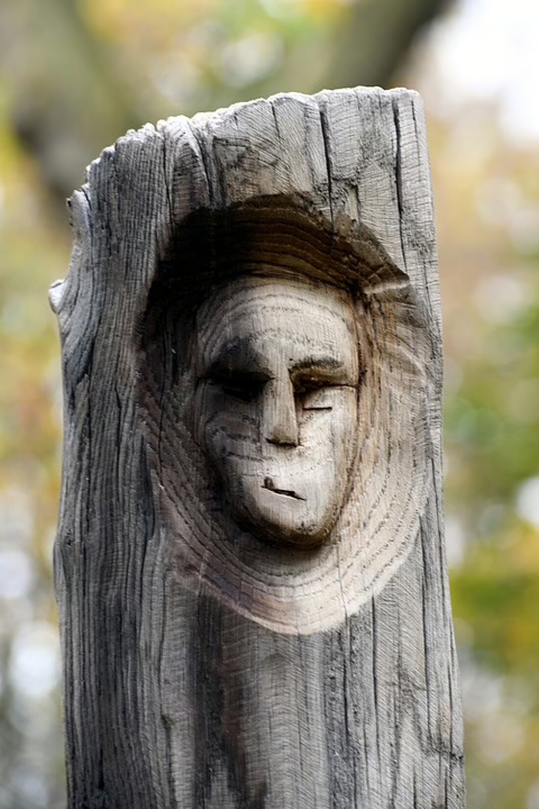 Entdecken Sie die Berufserlebnistage in Ried am 22. und 23. November! Über 70 Aussteller präsentieren zahlreiche Berufsfelder und Chancen für engagierte Nachwuchskräfte. Seien Sie dabei!