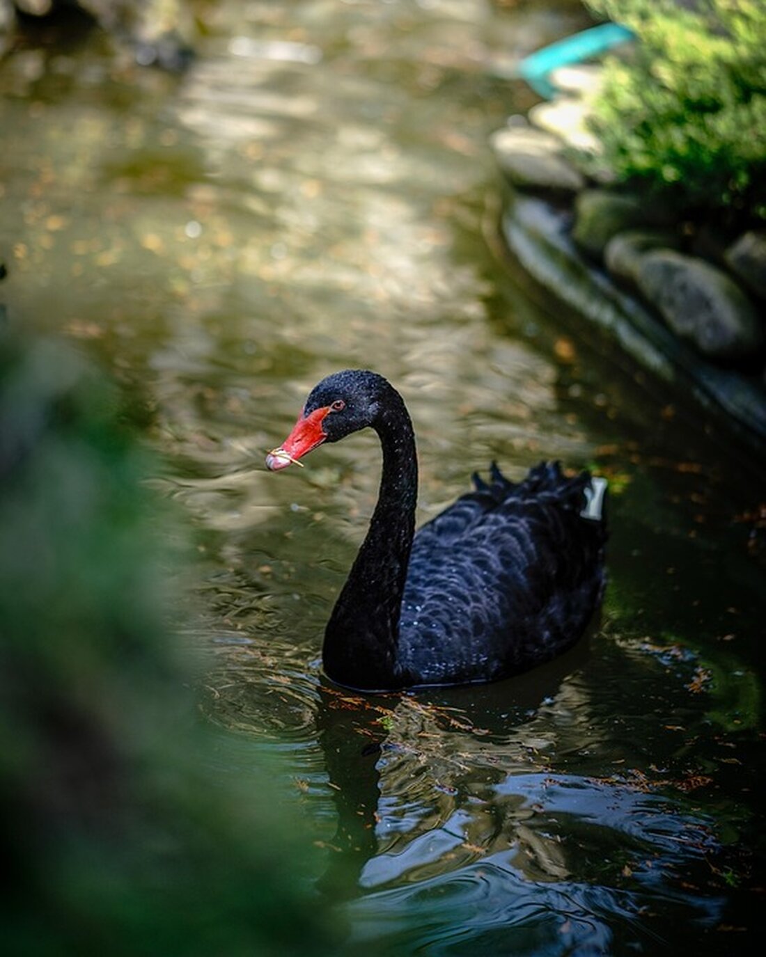 Nutzen Sie die TUI Black Friday Angebote 2024 und sparen Sie bis zu 400€ auf Pauschalreisen! Entdecken Sie attraktive Aktionscodes für Ihren nächsten Traumurlaub. Jetzt zugreifen!