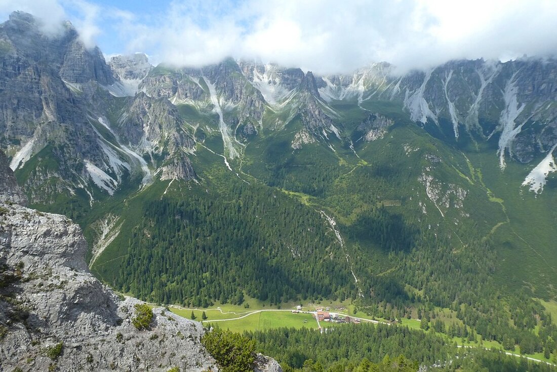 In Oberösterreich sind zwei Betriebe wegen der Blauzungenkrankheit gesperrt worden. Erfahren Sie mehr über die aktuellen Entwicklungen und Risiken dieser Tierseuche.