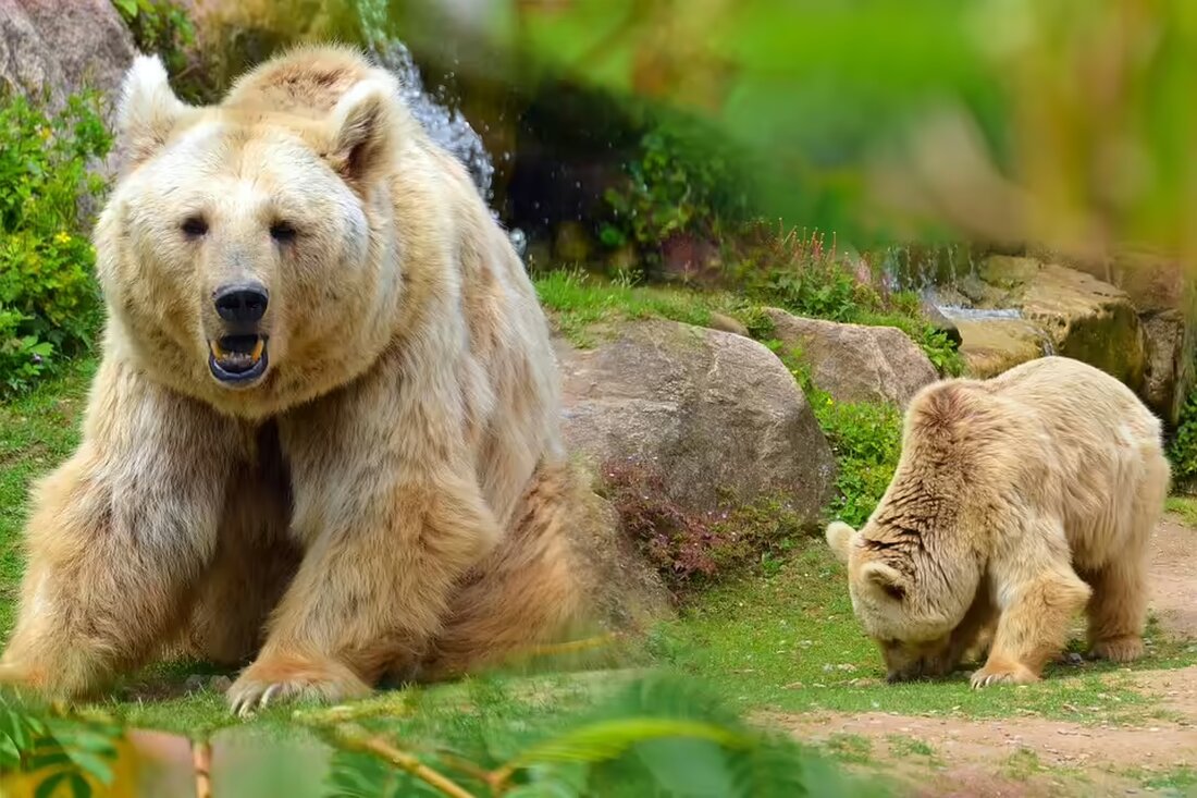 Warnung für Autofahrer in Heidelberg: Am 04.11.2024 blitzen mobile Radarfalle an mehreren Standorten. Informieren Sie sich jetzt über die aktuellen Blitzer und schützen Sie sich vor Bußgeldern!