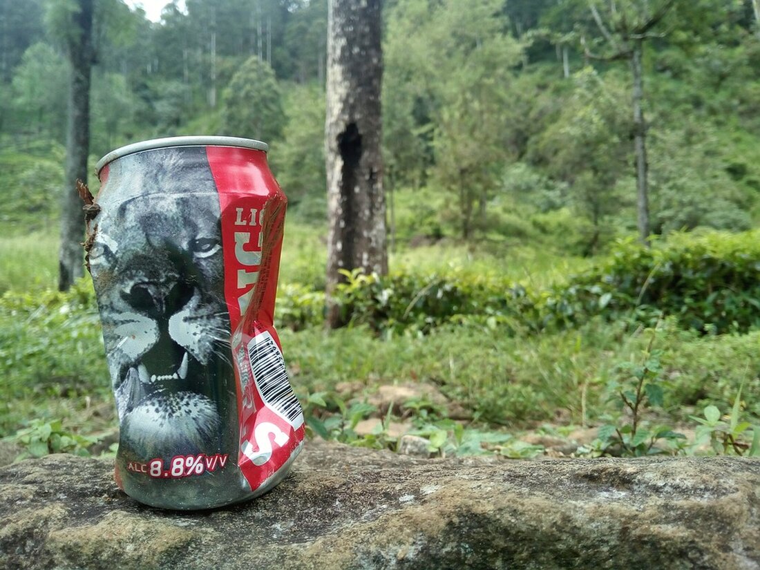 Erfahren Sie die Hintergründe zum eingeschränkten Betrieb der U1 nach einem Brand an einem Sonderzug. Aktuell laufen die Aufräumarbeiten auf Hochtouren. Alle Infos hier!