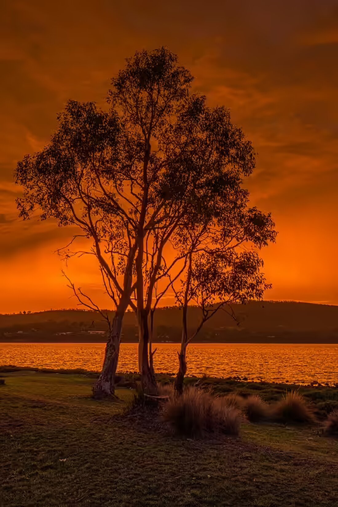 Burgenländische Lehrlinge Dominic Pauliscka und Jakob Jirkal trumpfen beim Bundesbewerb der Metalltechniker in Innsbruck auf. Ein Abschluss, der die Zukunft des Handwerks bestätigt.