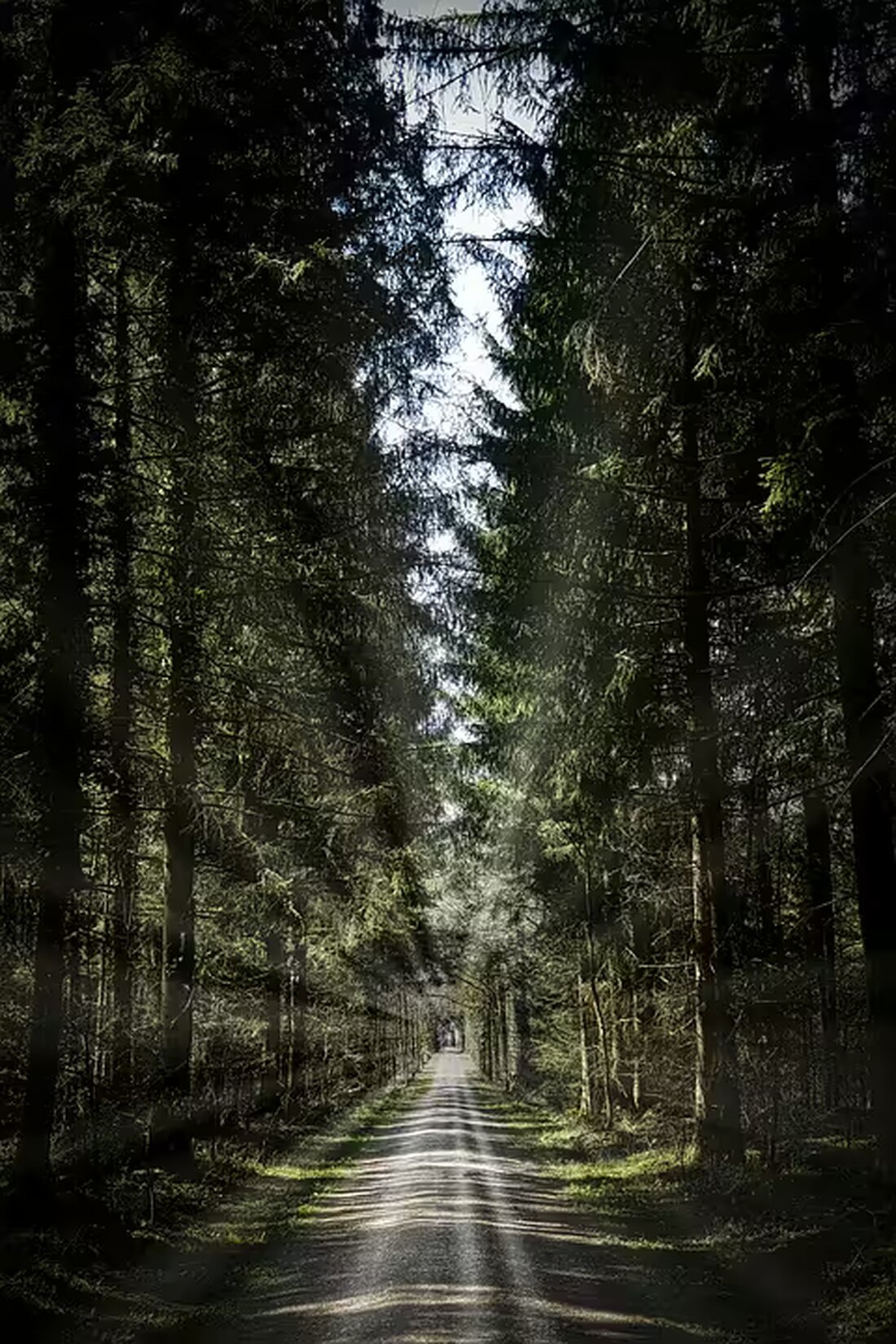 Erfahrt die wichtigsten Neuigkeiten aus dem Burgenland: Aktuelles zu Advent, Wahlen und aufregenden Entwicklungen. Kevin Friedl und Jasmin Puchwein liefern spannende Einblicke!