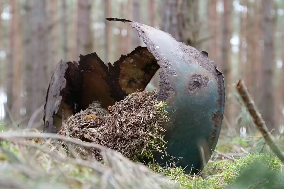 Der CDU-Ortsverband Rust hat unter Führung des neuen Vorsitzenden Andreas Bachmann einen Generationswechsel vollzogen. Ein junges Team setzt sich mit frischen Ideen für die Region ein.