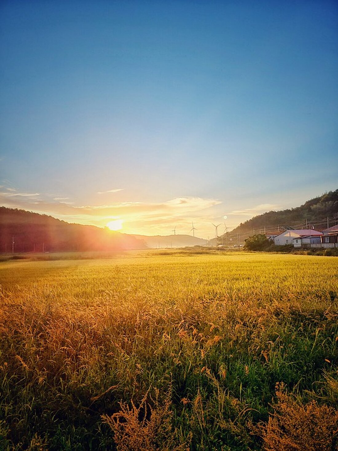 Das CHS Villach setzt ein starkes Zeichen gegen Lichtverschmutzung und beteiligt sich an der Initiative „Licht Aus!“. Schüler*innen engagieren sich für Umweltschutz und Lebensqualität. Erfahren Sie mehr über ihre Aktionen und die Unterstützung der Stadt!