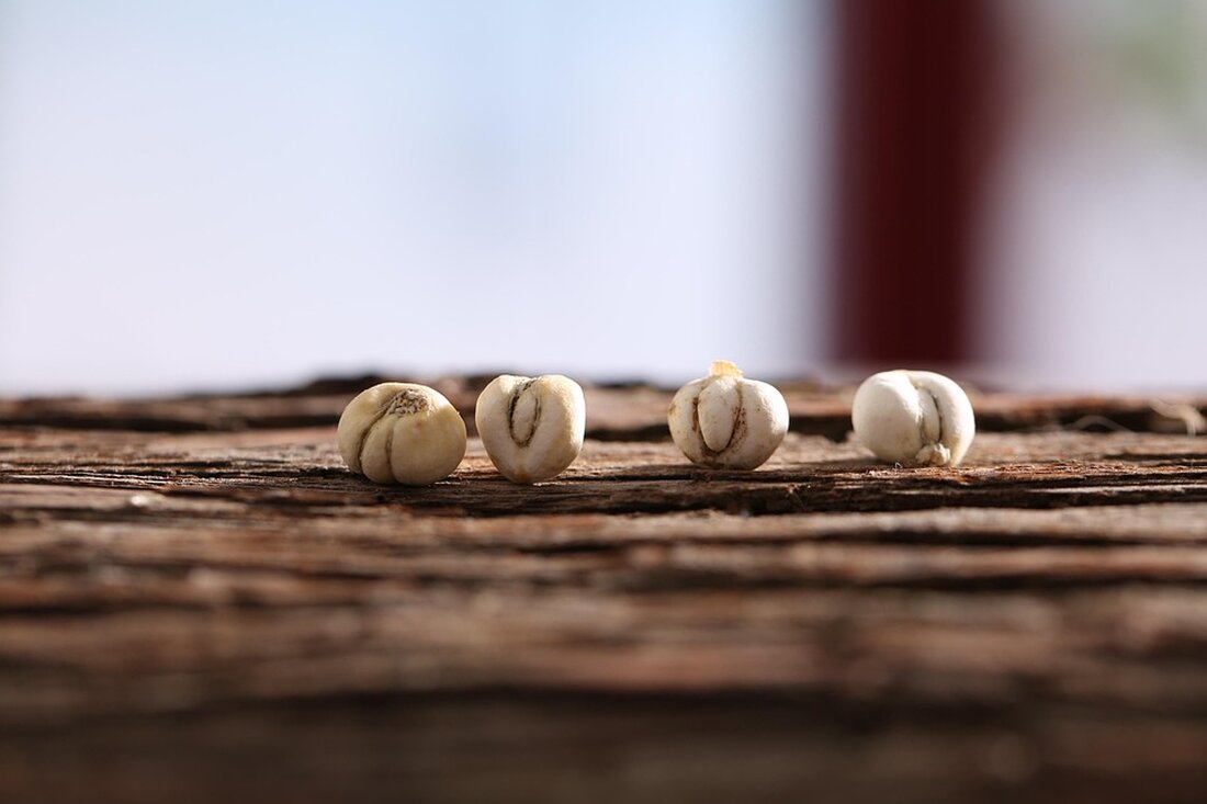 Ein serielle Vergewaltiger, Zhenhao Zou, wurde zu lebenslanger Haft verurteilt, nachdem er in Großbritannien und China 10 Frauen betäubt und missbraucht hatte. Ein Urteil für Gerechtigkeit.