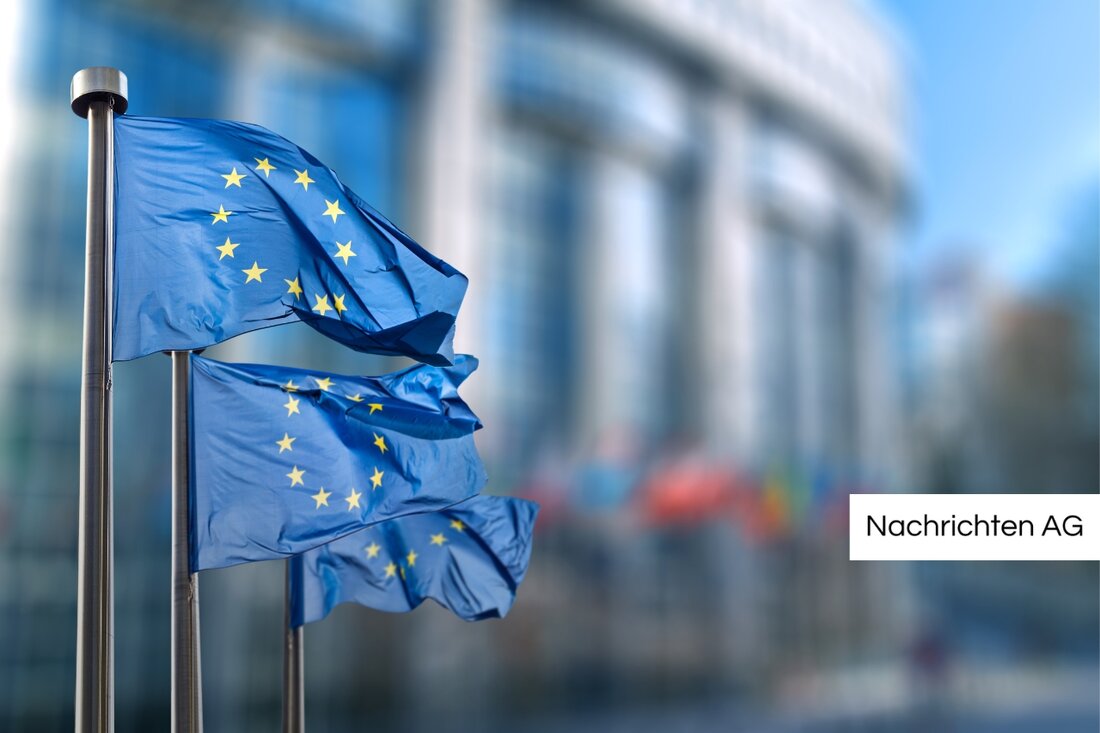 US-Bürger Ryan Borgwardt kehrt nach gefälschtem Ertrinken aus Europa zurück und sieht sich nun Anklagen gegenüber.