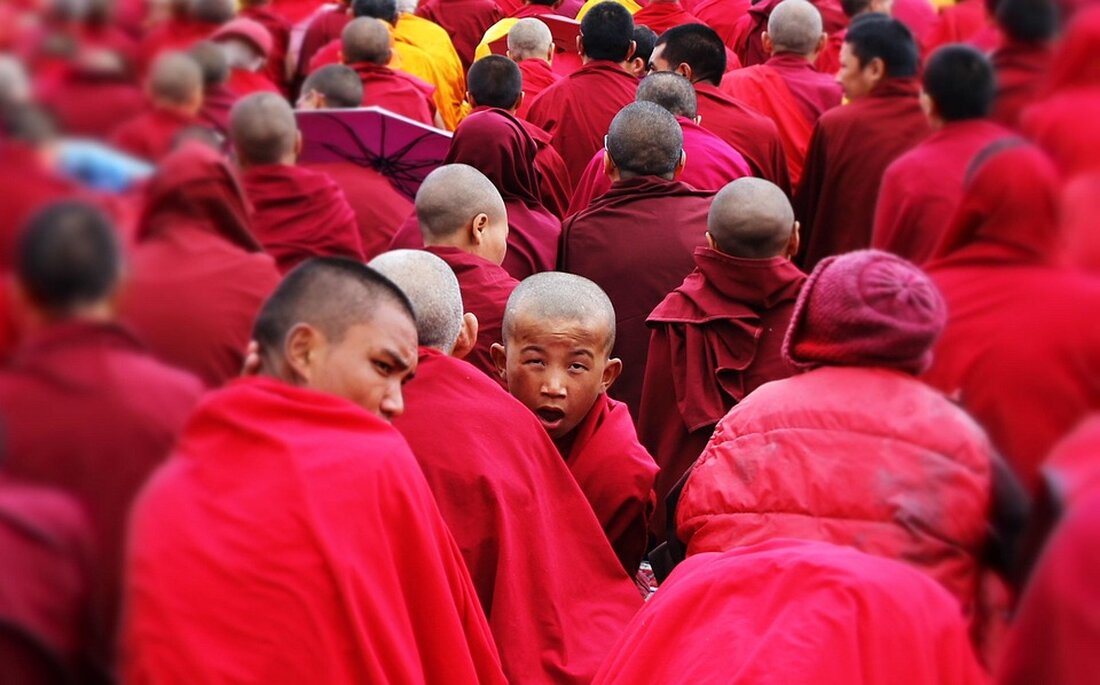 Der Dalai Lama kündigt an, dass er einen Nachfolger nach seinem Tod haben wird, um die Kontinuität des tibetischen Buddhismus zu sichern und dem Einfluss Chinas entgegenzuwirken.