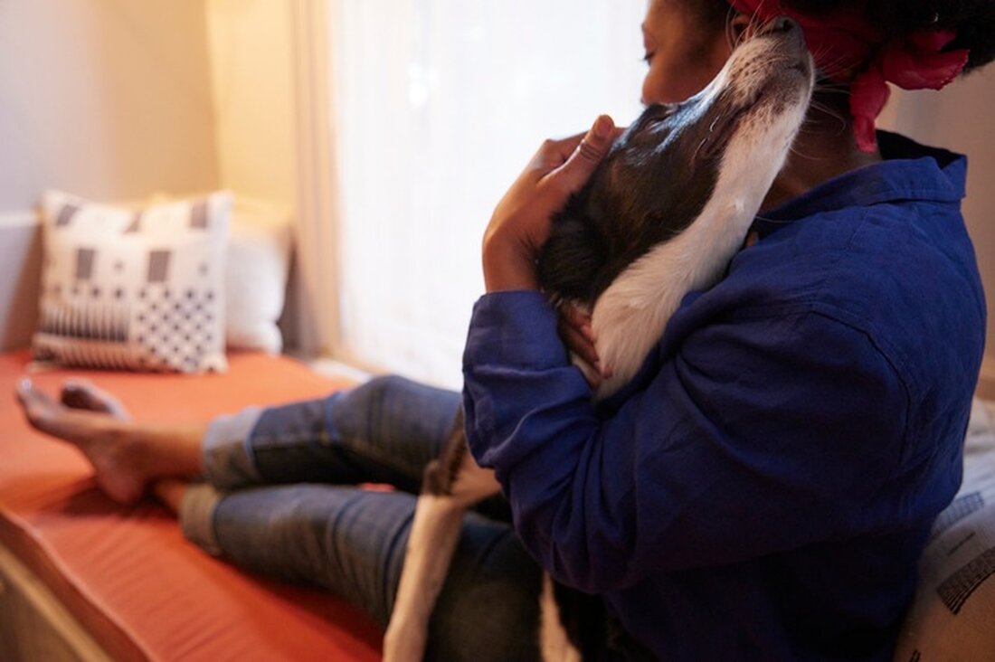 Entdecke, warum Hunde zu Weihnachten nicht vermenschlicht werden sollten und wie du ihrem Wohlbefinden am besten gerecht wirst.