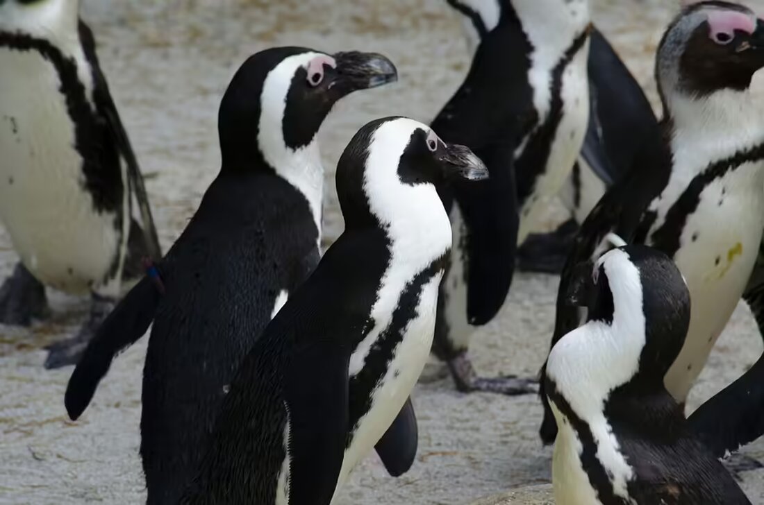 Investoren der Delek Group (TLV:DLEKG) haben in den letzten drei Jahren eine beeindruckende Rendite von 120% erzielt. Erfahren Sie mehr über die Hintergründe dieser starken Performance und die zukünftigen Perspektiven.