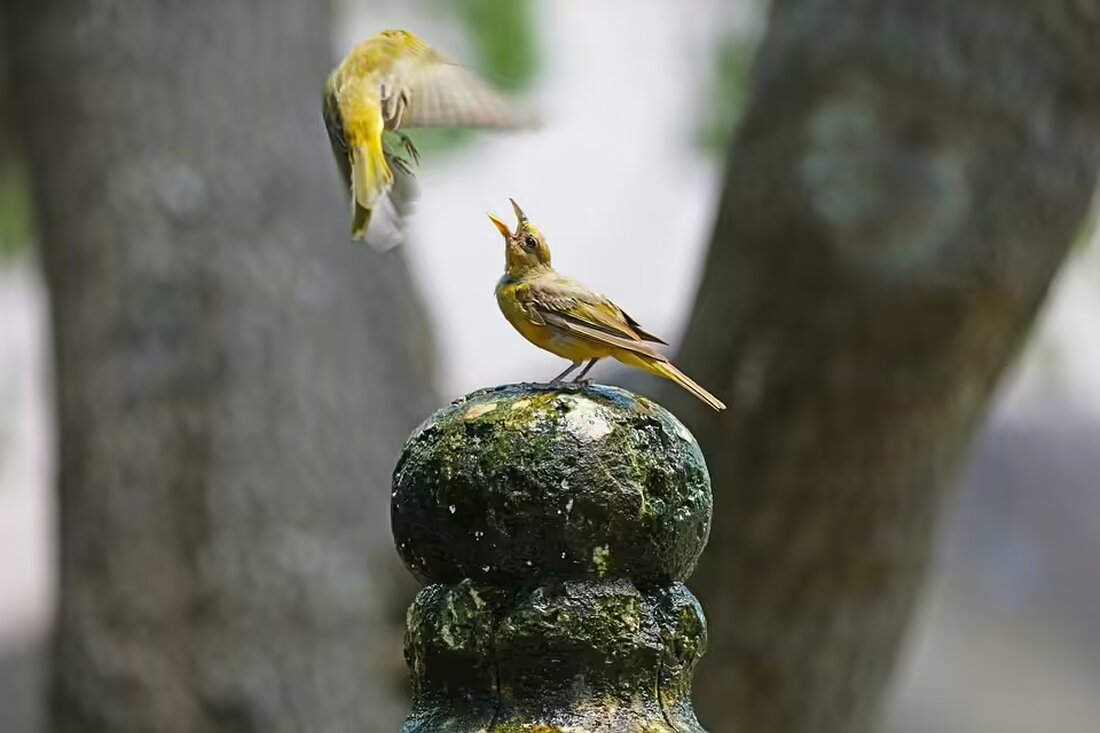In der vierten Episode von „Accused“ Staffel 2 brilliert Michael Chiklis in der emotionalen Geschichte um Justin. Eine fesselnde Analyse über Armut, Hoffnung und die Suche nach einem Ausweg.