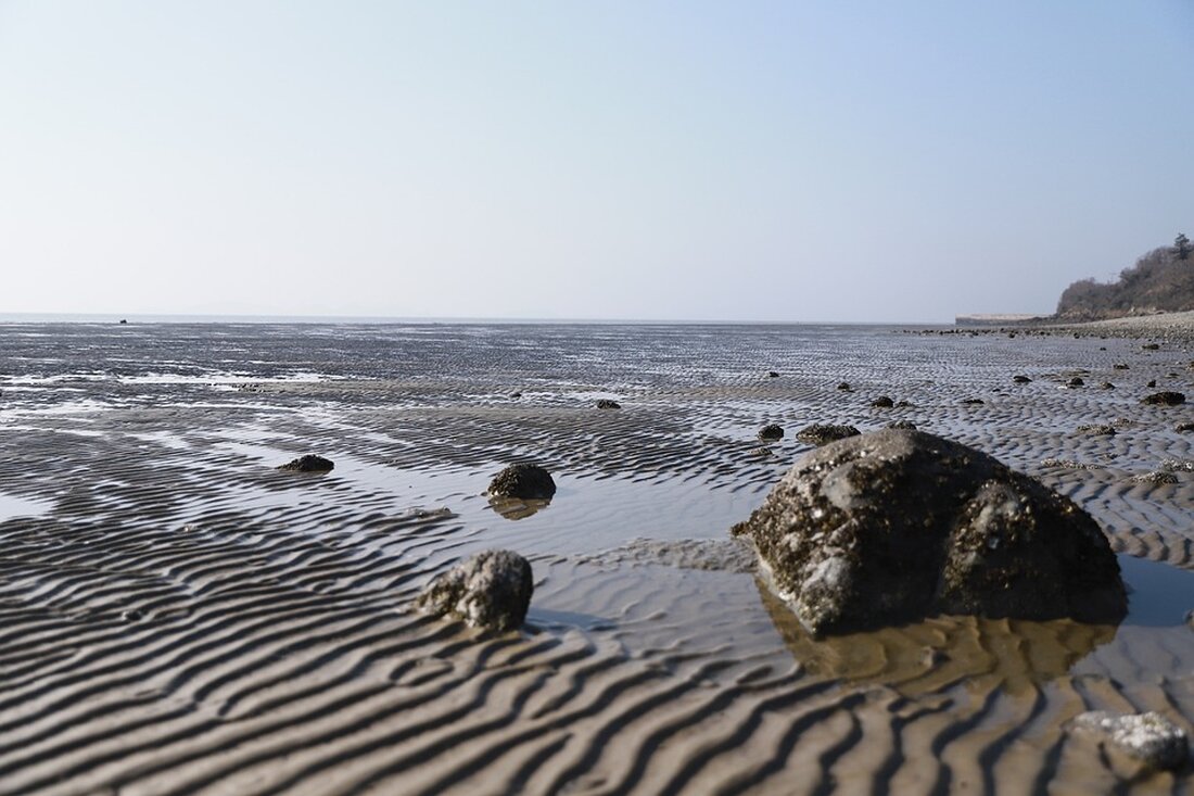 Deutschland hat die finanzielle Unterstützung für Seenotrettungen von Migranten im Mittelmeer gestrichen und will Mittel in die Krisenländer umleiten. Kritiker warnen vor verschärfter humanitärer Not.