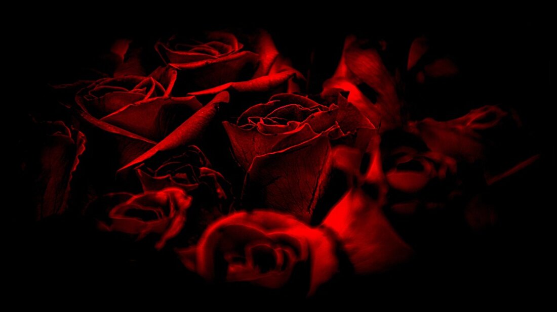 Drama in Feldkirchen: Ein 55-jähriger Berufstaucher ertrank tragisch beim Golfball-Sammeln im Mühldorfweiher. Seine Freundin war Zeugin des erschütternden Vorfalls. Erfahren Sie mehr.