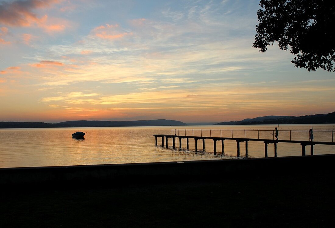 In Bregenz wollte ein 20-Jähriger Drogen von einem 19-Jährigen kaufen, doch als dieser ablehnte, raubte er ihm das Handy. Ein aktueller Bericht über den Raubüberfall an der Seepromenade.