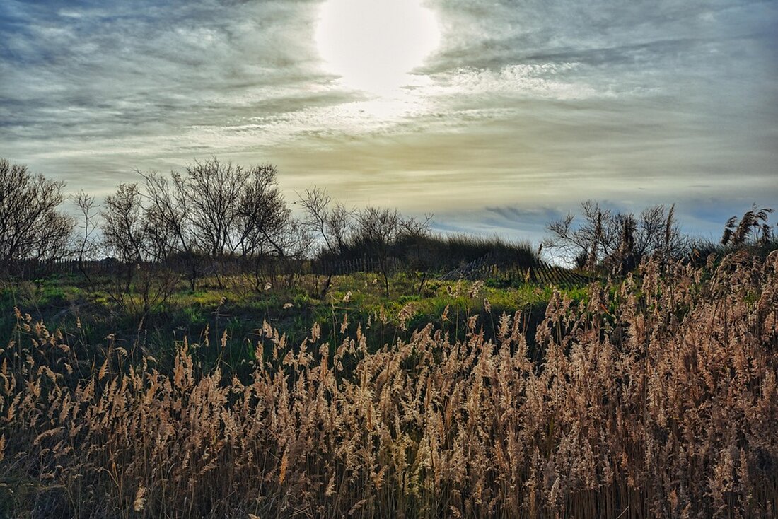 Ein Hauch von Erleichterung durchweht die Ukraine nach dem überraschenden Treffen zwischen Trump und Selenskyj. Doch wie nachhaltig wird der Frieden sein, angesichts der Unberechenbarkeit Trumps?