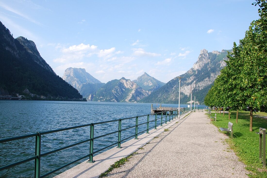 Entdecken Sie die neuesten Entwicklungen in Ebensee! Im Interview mit Sabine Promberger erfahren Sie alles über Spendenaktionen und Erfolge des Schutzes in der Salinengemeinde am Traunsee.
