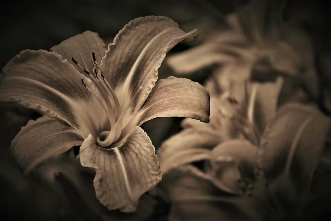 Ein tragischer Arbeitsunfall in Wien fordert das Leben eines 57-Jährigen. Die Bestattung Edelmann bietet in dieser schweren Zeit Unterstützung und einen würdevollen Abschied.