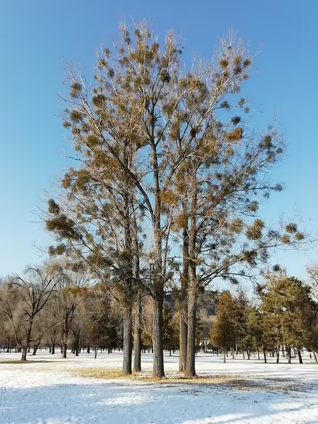 Das Darmzentrum Reutte feiert ein Jahr erfolgreicher Arbeit: Hochwertige Vorsorge und Behandlung in der Darmgesundheit überzeugen Patienten und Experten gleichermaßen. Erfahrungsberichte und Zahlen belegen den Erfolg!