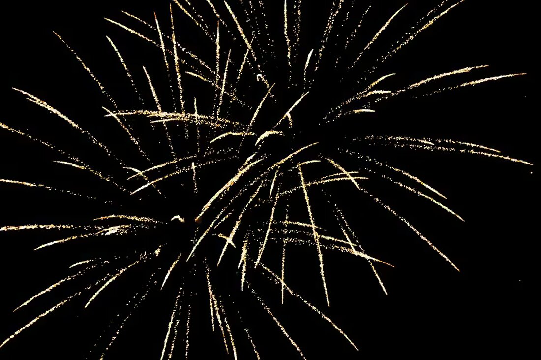 Der Verein „Wohnen & Erleben“ in Neufelden feiert sein einjähriges Bestehen mit vielen Aktivitäten und lädt zur ersten Mitgliederversammlung am 20. November ein. Seien Sie dabei!