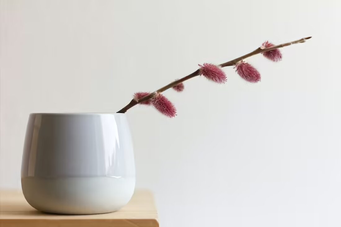 Entdecken Sie das beeindruckende Foto des Tages von Kurt Dvoran aus der Regionauten-Community in Schwechat! Lassen Sie sich von seinen Eindrücken inspirieren. Weitere Bilder und Beiträge finden Sie hier.