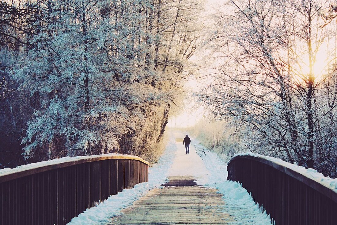 Einsamkeit in der Weihnachtszeit betrifft viele, besonders Trauernde und Senioren. Experten geben Tipps zur Unterstützung und Ermutigung zur aktiven Gemeinschaftsbildung in dieser emotionalen Zeit.