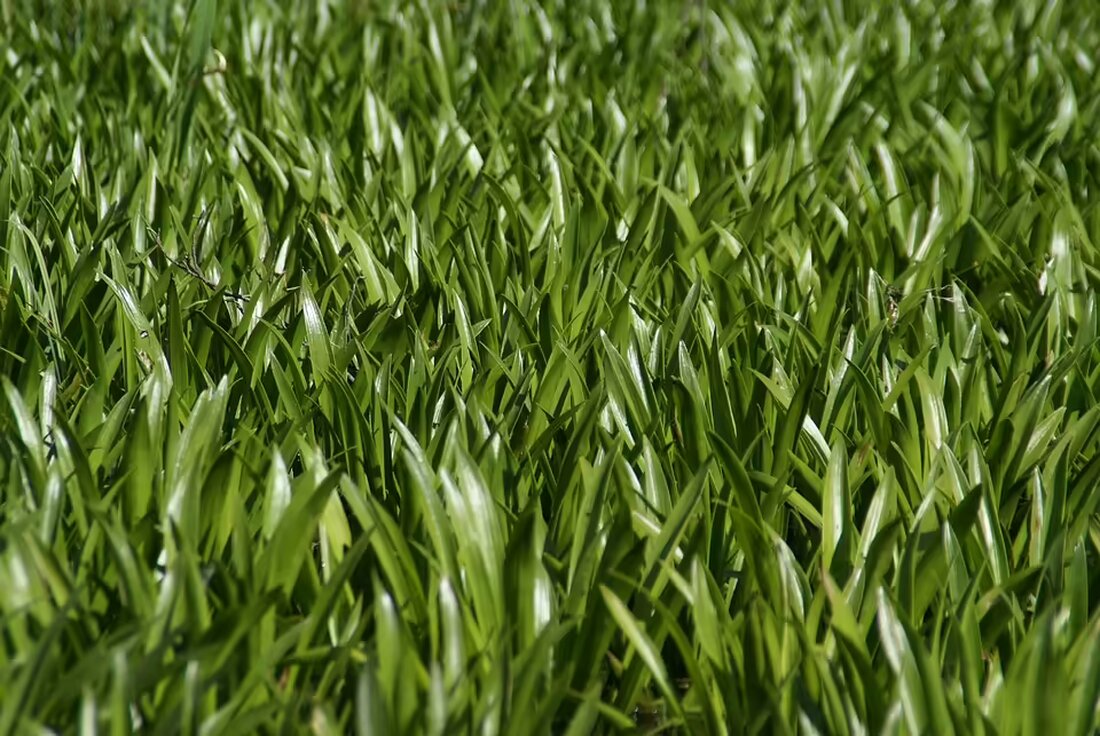 Energiearmut ist in der KEM Schöcklland eine wachsende Herausforderung. Erfahren Sie, wie Gemeinden gemeinsam Lösungen entwickeln, um betroffenen Haushalten Unterstützung zu bieten.