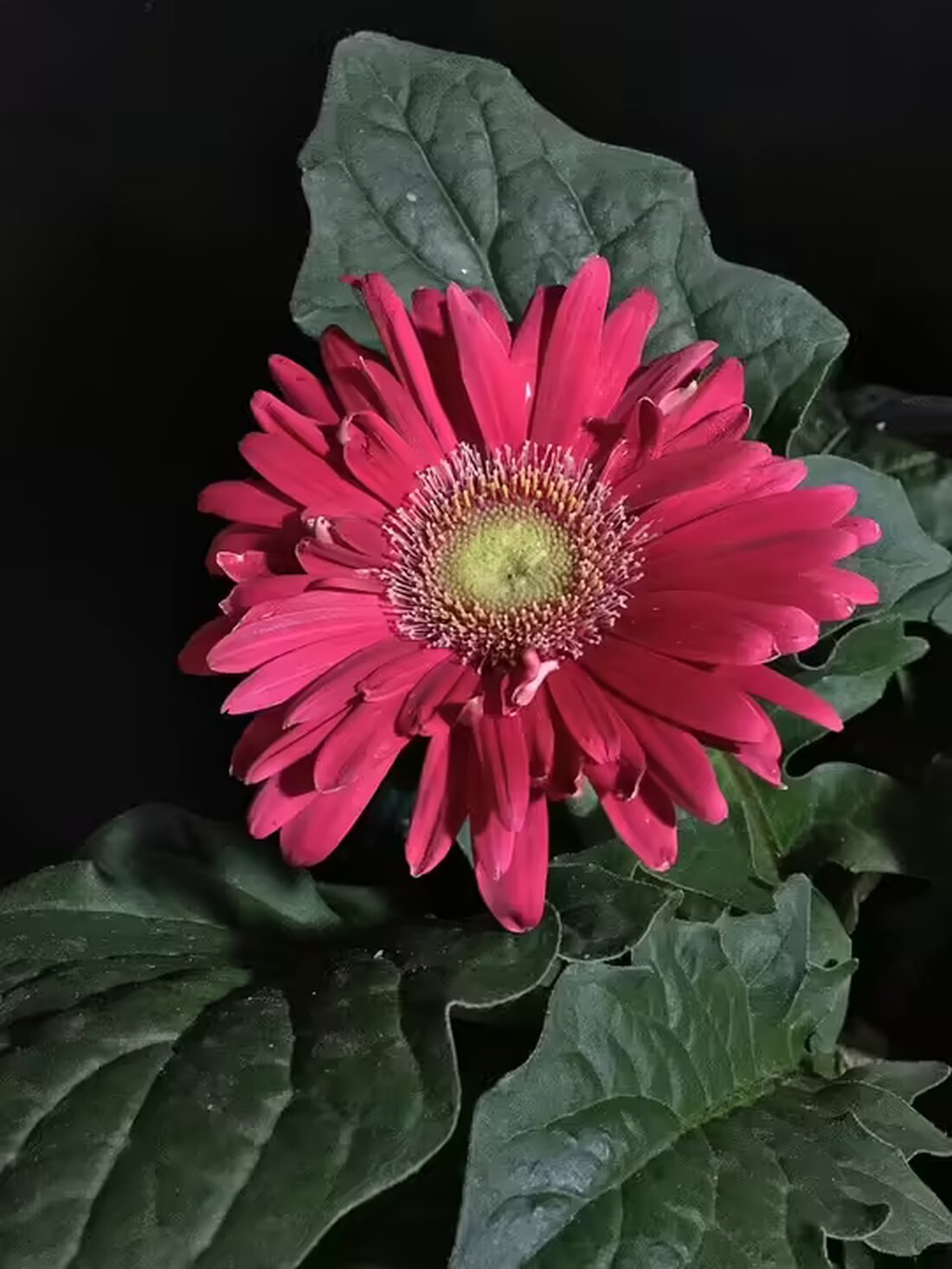 Im Salzburger Derby triumphiert USC Team 81 Eugendorf! Entdecke die Highlights und interessante Einblicke aus diesem spannenden Bundesliga-West-Spiel. Jetzt mehr erfahren!