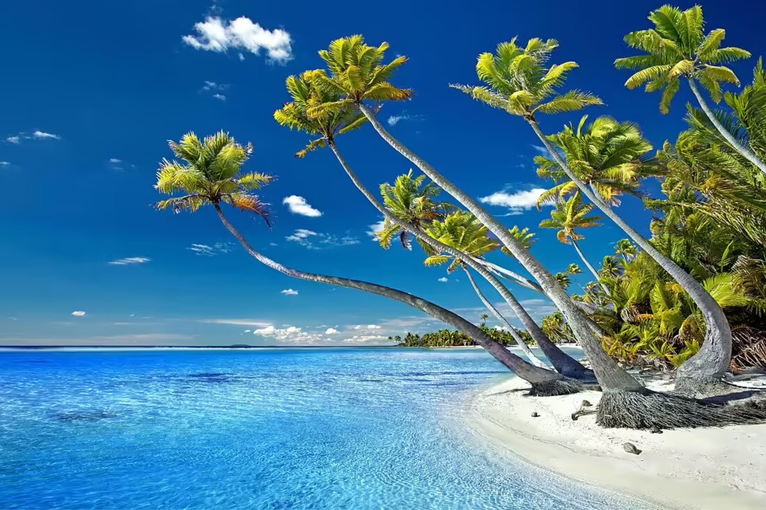 Erlebe die erste offene Advent-Weihnachtswerkstatt im Otto-Wagner-Areal! Zwei Tage voller Inspiration, kreativer Ideen und stilvoller Gestaltung warten auf dich. Sei dabei!