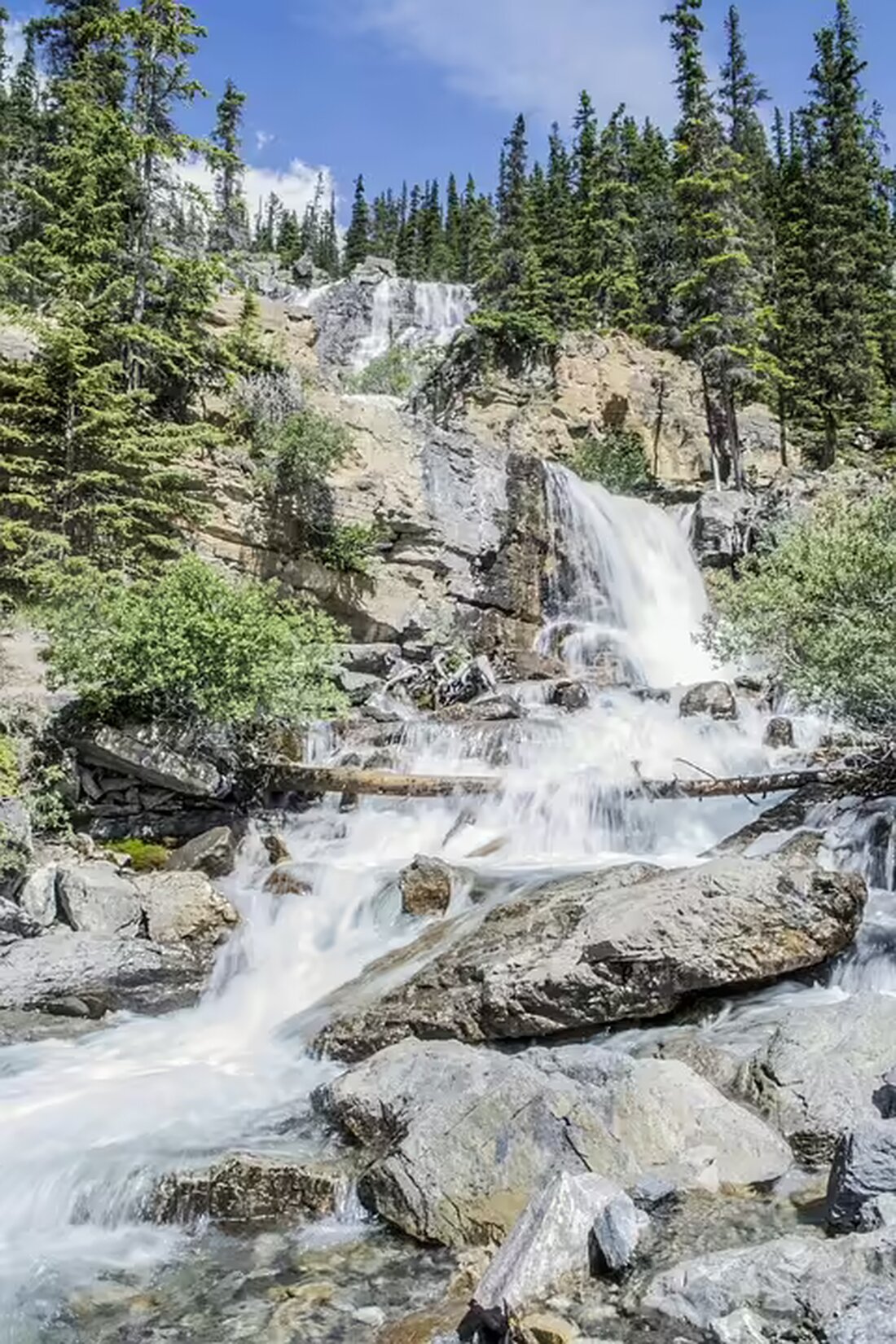 Erleben Sie die Faszination des Wurzacher Rieds! Heute um 14 Uhr lädt Dr. Siegfried Roth zu einer Turm-Führung ein. Treffpunkt: Parkplatz „Wurzelsepp“. Seien Sie dabei!