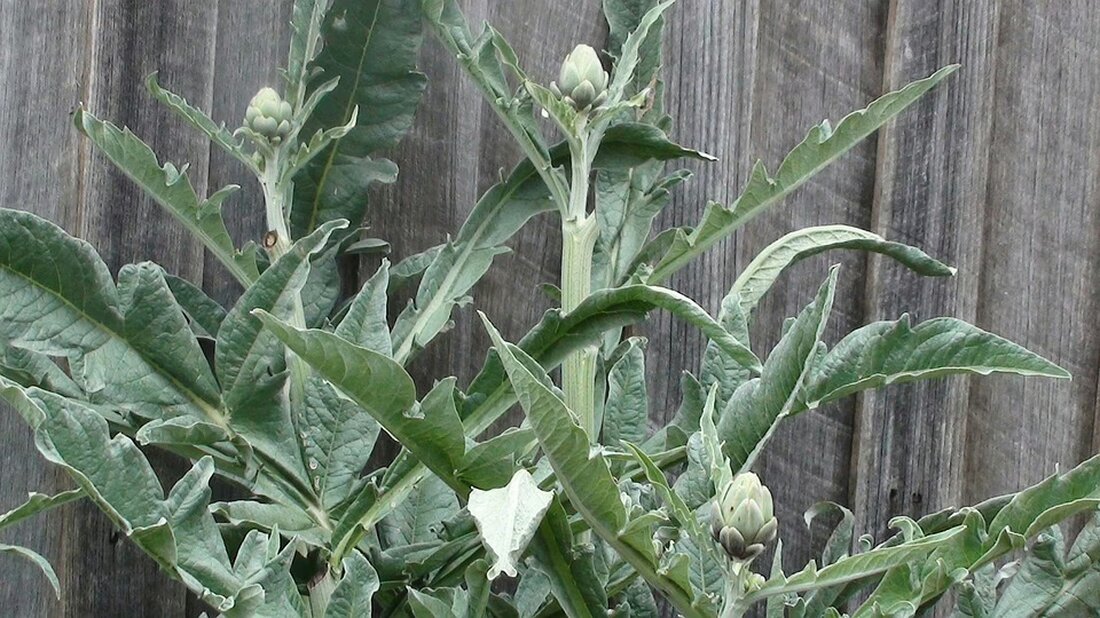 Entdecken Sie aktuelle Veranstaltungen im Bezirk Oberpullendorf vom 14. bis 20. November, einschließlich der Nacht der offenen Tür am Gymnasium. Jetzt über spannende Freizeit-Tipps informieren!