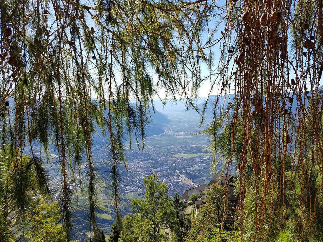 Erfahren Sie, wie Wiedereinsteigerinnen nach der Babypause mit Kursen und individueller Beratung der AK Tirol erfolgreich ins Berufsleben zurückkehren können. Besuchen Sie unseren Info-Termin am 3. Dezember!