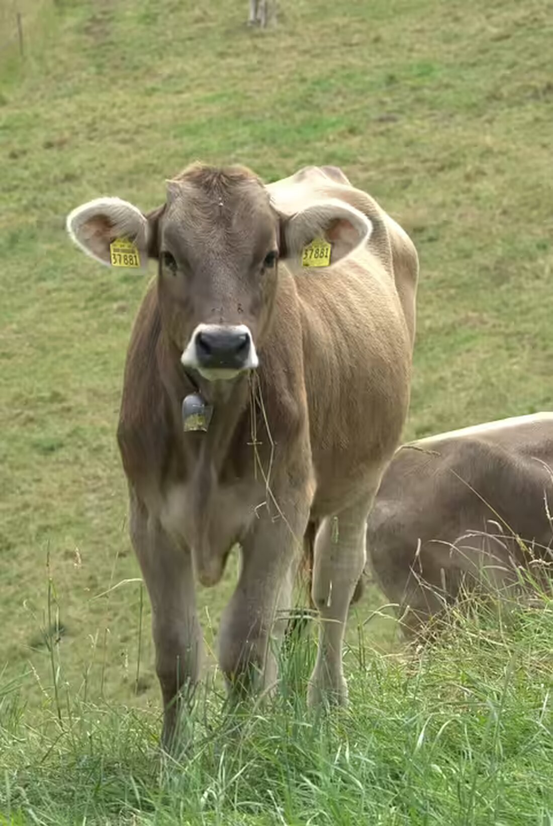 Entdecken Sie am 8. November das Lilienfelder Gymnasium! Besuchen Sie unseren Tag der offenen Tür, lernen Sie unser Lehrpersonal kennen und nehmen Sie an geführten Touren durch die Schule teil.