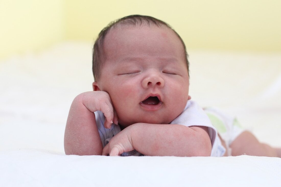 In Wien Favoriten wurde die Leiche eines neugeborenen Babys in einem Mistkübel entdeckt. Die Mutter steht unter Mordverdacht. Das Obduktionsergebnis steht noch aus. Details hier.