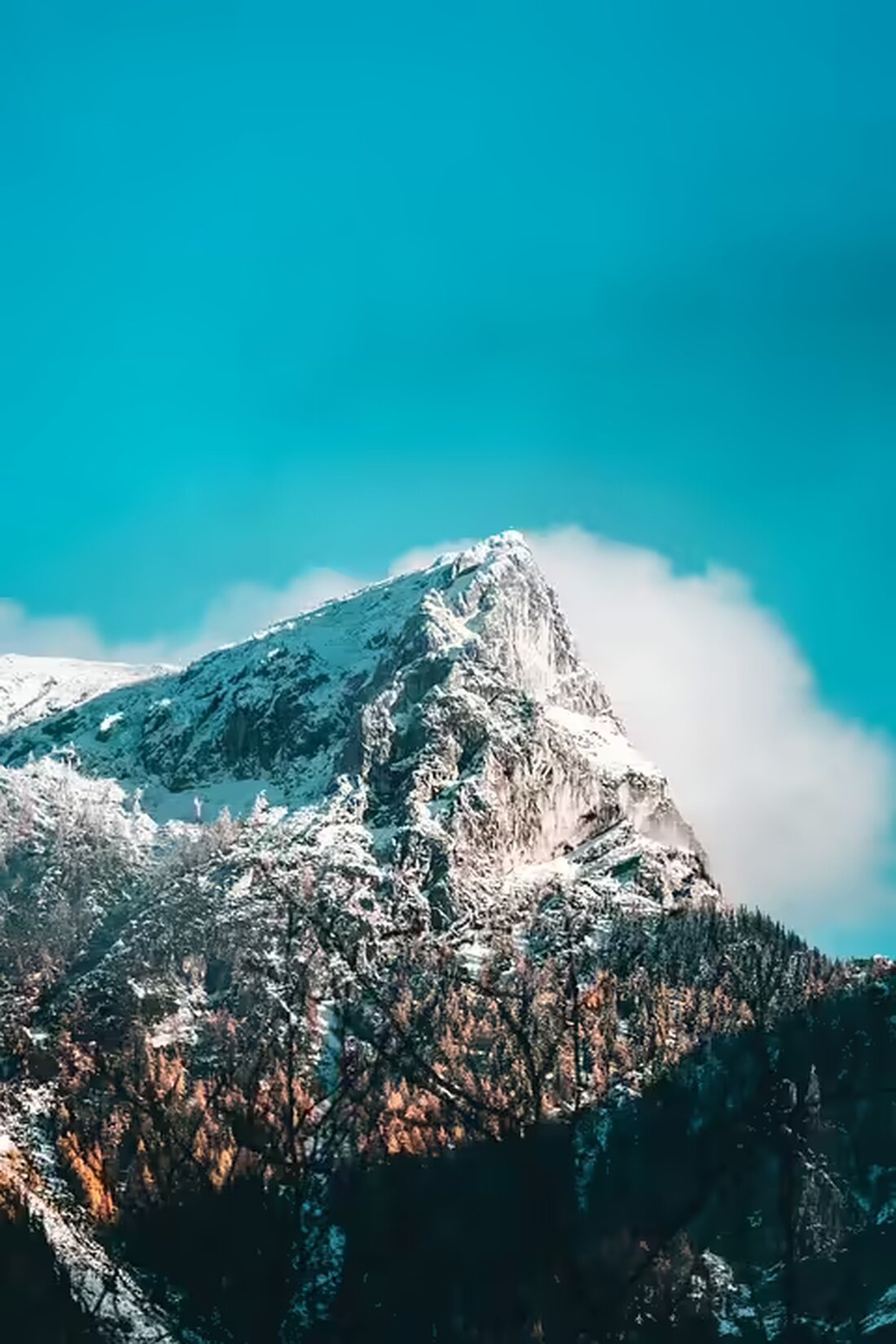 Eurofighter-Piloten des Bundesheeres trainieren vom 4. bis 15. November Überschall-Abfangmanöver. Flüge finden tagsüber über ganz Österreich statt, um Luftschutz zu gewährleisten.