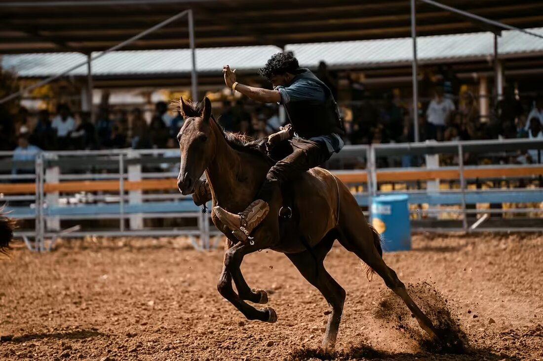 Ein alkoholisierter Autofahrer mit 2,06 Promille flüchtete am 1. November 2024 vor einer Kontrolle in Freistadt. Details zu dem Vorfall und den Folgen erfahren Sie hier.