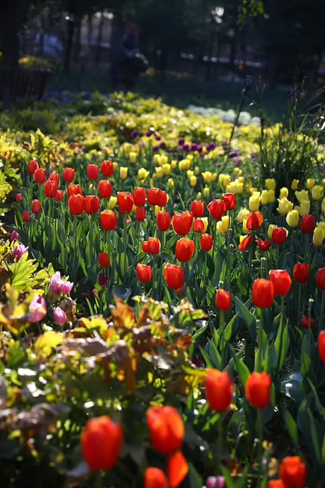 Entdecken Sie die faszinierende Vernissage von Stefanie Knechtl und die literarische Lesung von Nadia Trallori am 16. Dezember. Ein kreativer Dialog zwischen Kunst und Tabu erwartet Sie!